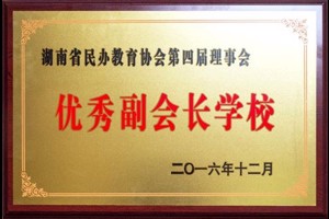 优秀副会长学校